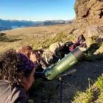 Neuquén realizó el cuarto Censo Simultáneo de Cóndor Andino