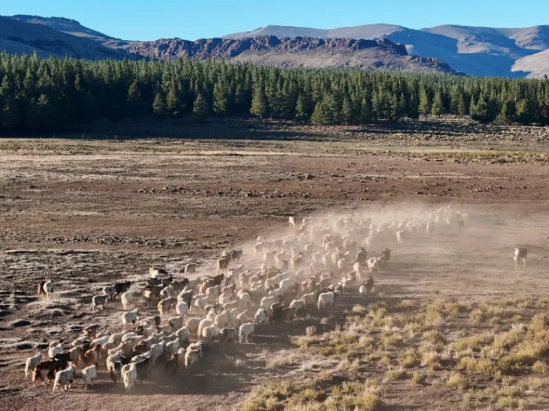 Con más inversión y apoyo técnico, la Provincia busca amortiguar el impacto de la sequía